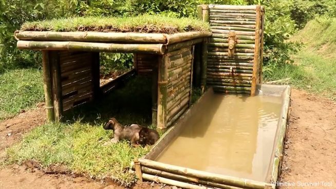 Hundehütte ganz ohne Werkzeuge gebaut