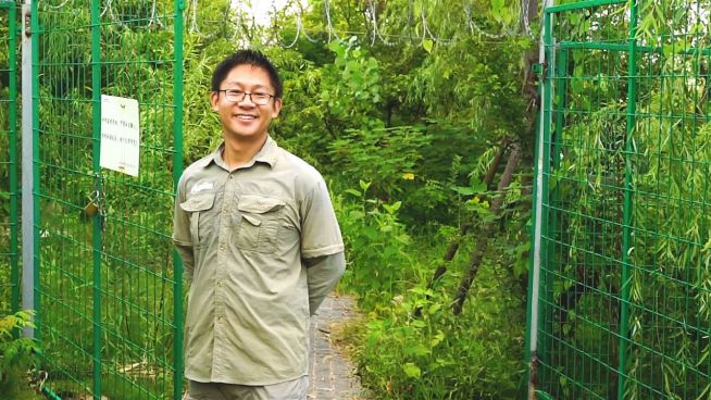 Ein Stück Natur in Shanghai