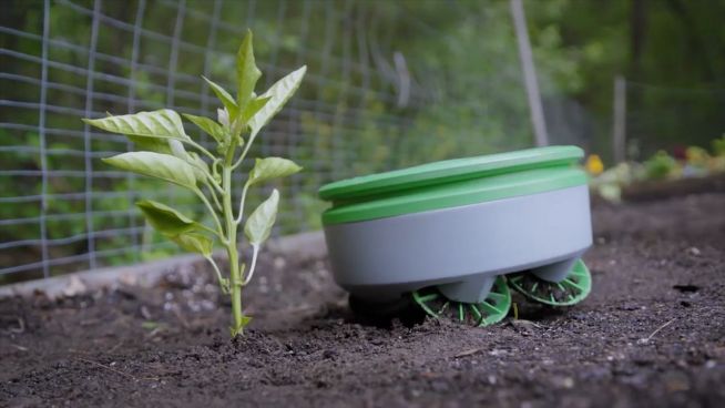 Gartenstaubsauger: Dieser Roboter beseitigt Unkraut